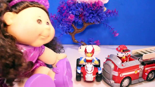 PAW PATROL Toys Save CABBAGE PATCH KIDS Adoptimals Cat Youtube Video for Kids