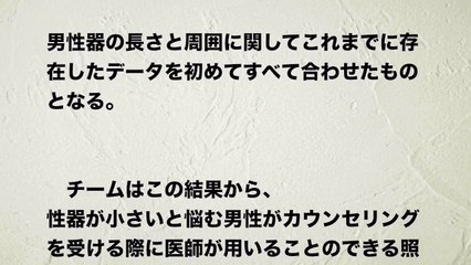 【偏差値】世界のオチ◯チン徹底検証！