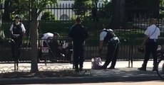 Woman Arrested After Allegedly Trying to Jump White House Fence