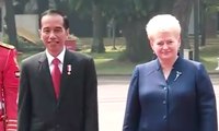 Pertemuan Pertama Jokowi dengan Presiden Lithuania