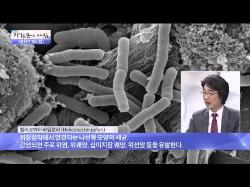 '헬리코박터' 젊은 세대에 더 위험하다? [광화문의 아침] 73회 20150917