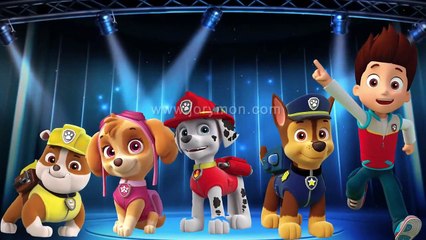 Paw Patrol Finger Family Nursery Rhymes Songs | Cartoon Animation Paw Patrol for Children