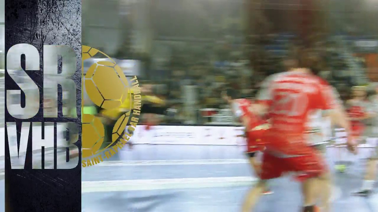 Saint-Raphael flying the french flag at the LIQUI MOLLY EHF Cup Finals