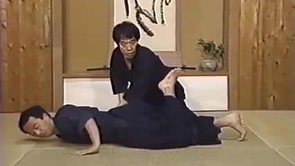 甲野善紀 杖術・体術(後取り・座り技)で井桁術理を体現 Kono Yoshinori