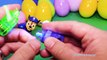 PAW PATROL Nickelodeon Paw Patrol 20 Surprise Eggs a Nick Jr Paw Patrol Surprise Egg Video