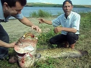 45 Kg Yayın Balığını Olta İle Nasıl Çektiğini Anlattı Mutlaka İzle