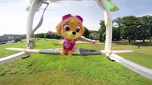 PAW PATROL Nickelodeon Skye Flies in the Air and Saves Paw Patrol a Paw Patrol Video Parod