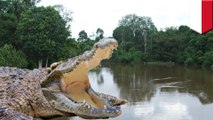 Crocodiles attack two people at same Indonesian river in one day