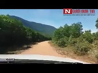 Formosa chôn chất thải ở trang trại của GĐ môi trường - Songlamplus.vn