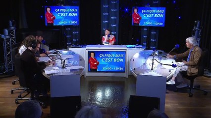 Chris Deslandes : "Dave, le dernier hollandais"