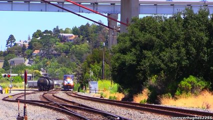 TRAINS in NORTHERN CALIFORNIA