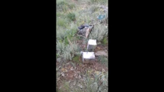 Bestler-Dereler Bölgesinde Terör Operasyonları Hız Kesmeden Devam Ediyor