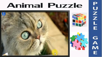 Cat face |Amazing Puzzle Game & Jigsaw for Little Kids