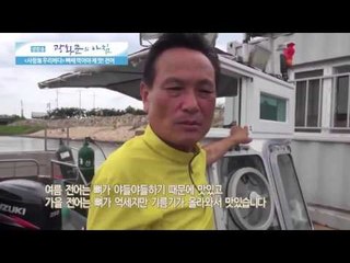 뼈째 먹어야 제 맛! 전어 [광화문의 아침] 71회 20150915