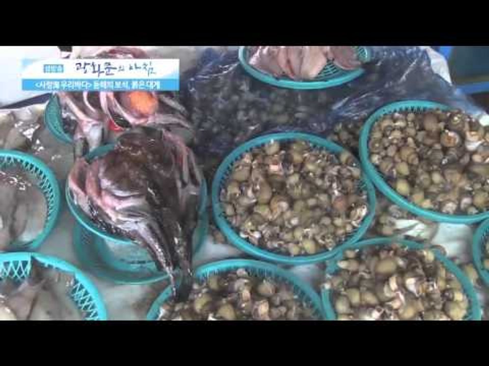 동해의 보석, 붉은 대게 [광화문의 아침] 70회 20150914