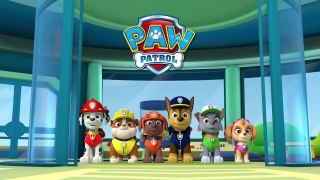 Paw Patrol - Lookout Place Set