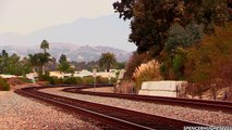 Amtrak, BNSF & Metrolink Trains in Laguna Niguel & San Juan Capistrano (January 24th, 2014)