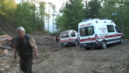 Üzerine Ağaç Devrilen Orman İşçisi Hayatını Kaybetti