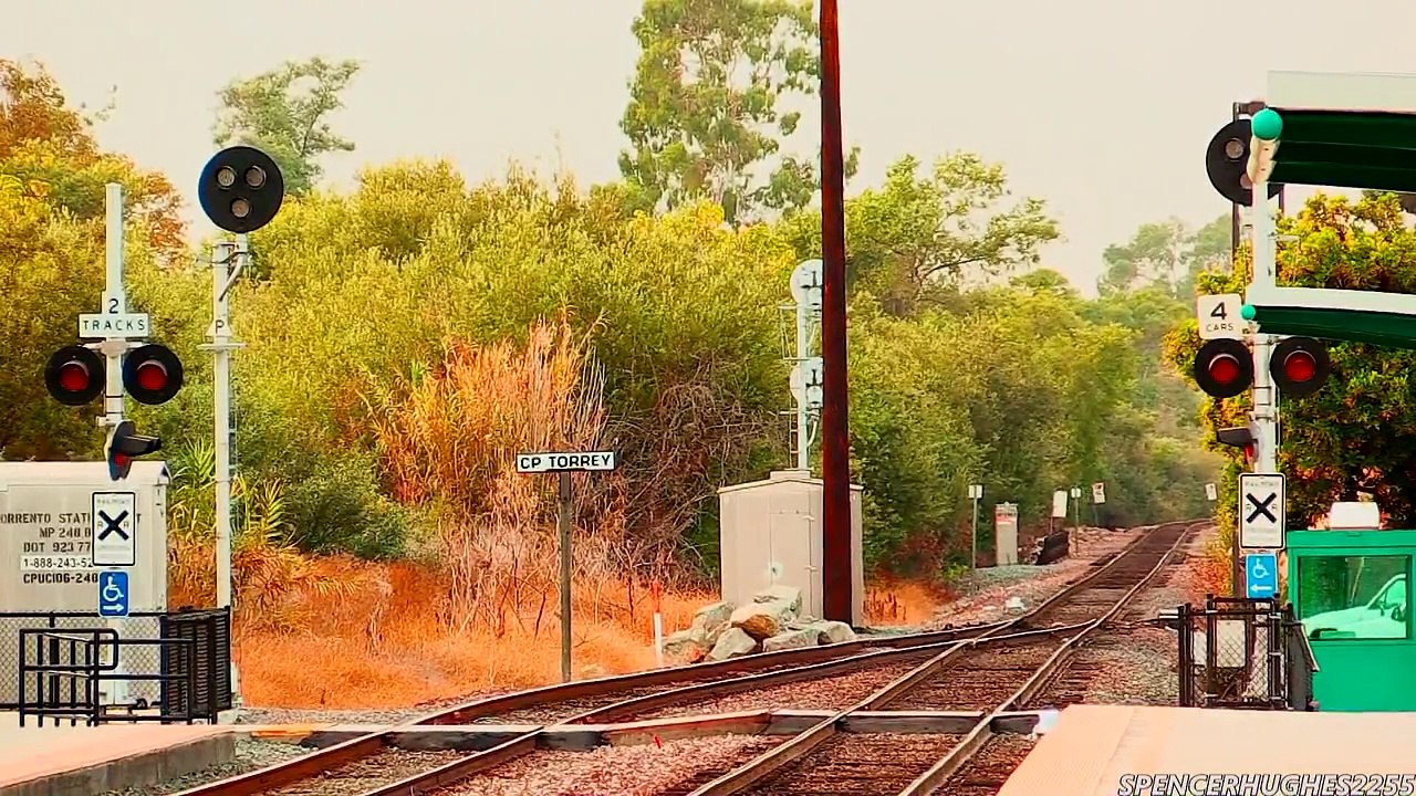 HIGH SPEED Amtrak Trains - Sorrento Valley + Bonus shot! (September 1st, 2013)