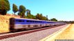 Amtrak Trains in Mission Viejo & Laguna Niguel, CA (August 9th, 2013)