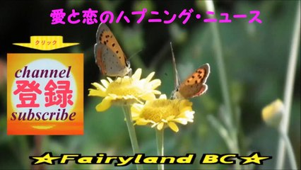 【賛否両論】小松菜奈ヒロインで過激なバイオレンス衝撃作