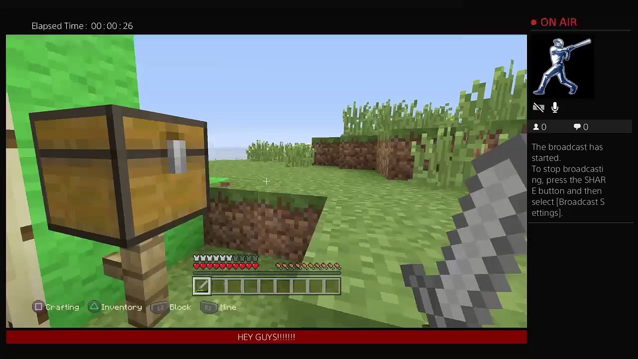 Minecraft!!! (16)