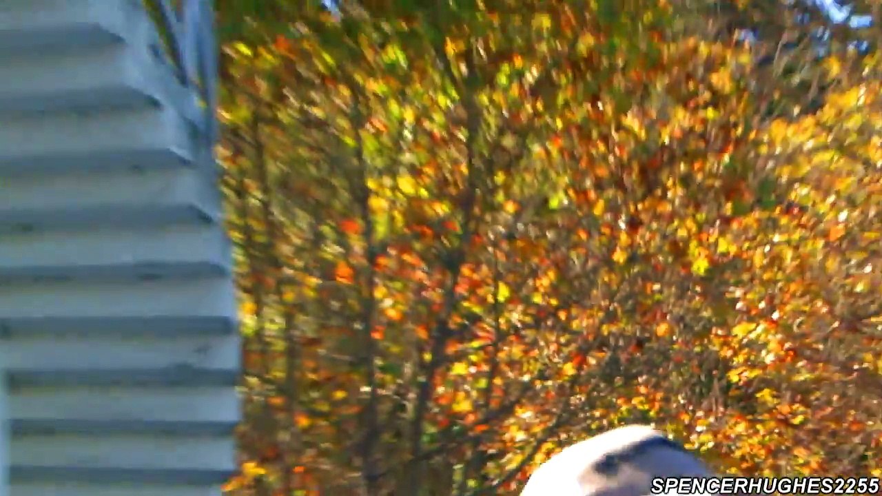 2012 San Francisco Fleet Week - U.S.N. Blue Angels (Saturday)