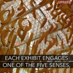 Los Angeles Has A Museum Devoted To Ice Cream Now