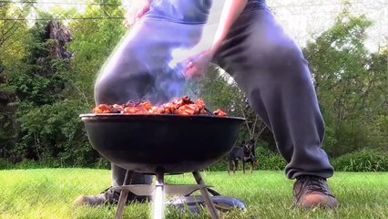 BARBEQUE SAUCE TOSSING , FIDGET SPINNING CAR RIDE,