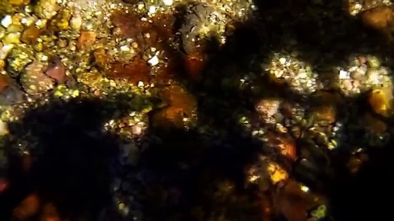 Rau ma dor ochii ma dor - Orizont 77 (varianta originala)