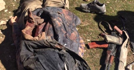 Van'ın Muradiye İlçesi'nde PKK'lı 3 Terörist Öldürüldü