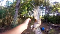 Un homme sauve un hibou dont l'aile est coincée par un fil