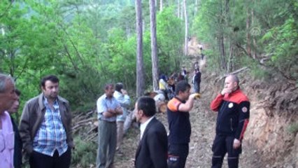 Üzerine Ağaç Devrilen Işçi Öldü