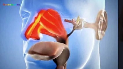 Лечение гайморита в домашних условиях тодикампом. Капли от гайморита с льняным маслом