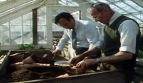 The Victorian Kitchen Garden - S01 - E06 - May