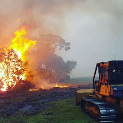 Florida Wildfire Stopped Before Engulfing Ranch Pasture