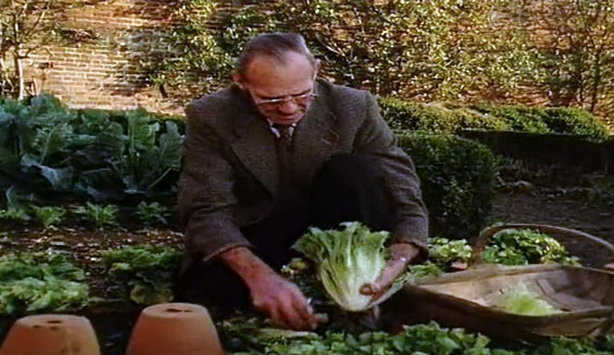The Victorian Kitchen Garden S01 E12 November video Dailymotion