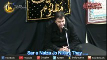 Sayyed Zaire Naqvi Reciting 