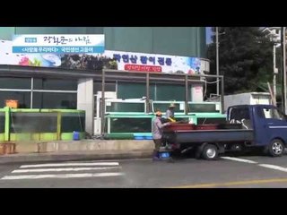 국민생선 고등어  [광화문의 아침] 65회 20150907