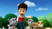 Paw Patrol English Pup Pup Goose Pup Pup and Away part 3 brief E