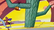 Roadrunner and Coyote Cartoons Full Episodes Compilation 2