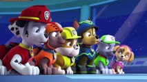 Paw patrol Pups Save the Space Alien   Pups Save a Flying Frog 006