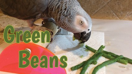 Einstein eats green beans and enjoys them