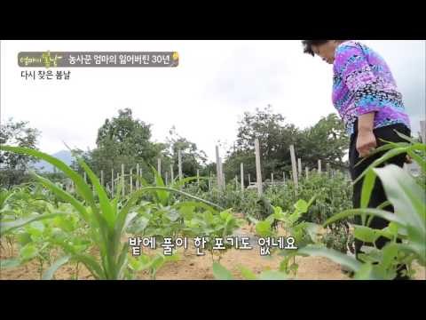 다시 찾은 엄마의 봄날 [엄마의 봄날] 12회 20150829