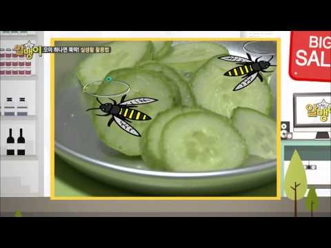 먹는 것 뿐만이 아니다! 오이의 실생활 활용법! [알맹이] 7회 20150901