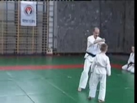 Pokaz Karate nr 2 podczas V Festiwalu Sztuk Walki w Krakowie