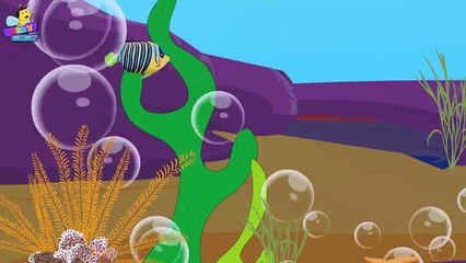 Octopus Finger Family Nursery Rhyme _ Finger Family Songs _ The Octopus Family-MuAYNfBY604