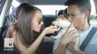 Uber driver surprises passengers with rescue puppies
