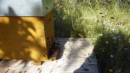 17/05/17 : Colonie Saparella II soleil d'artifice