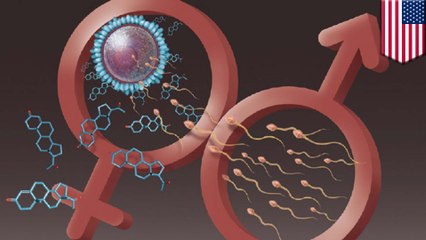 Folk contraceptive may be developed into molecular condoms